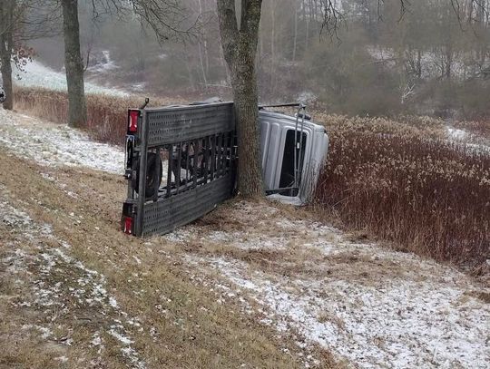 Laweta uderzyła w drzewo. Trudne warunki na drogach i kontrole policji [ZDJĘCIA]
