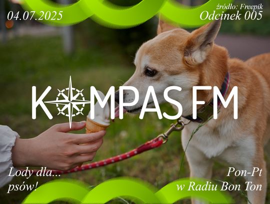Lody dla… psów! - Kompas FM