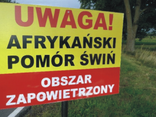 Mecze bez publiczności, a zebrania tylko pod dachem. Gmina pyta o ASF