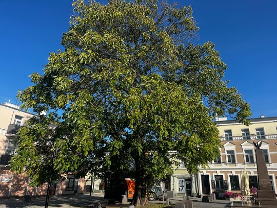 Miasto Na Fali - odc. 18.