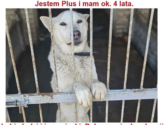Miasto Na Fali - odc. 183.