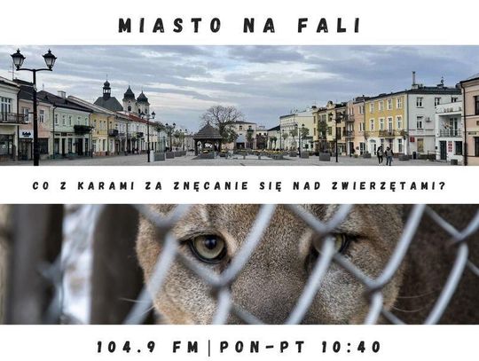 Miasto Na Fali - odc. 298.