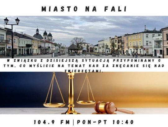 Miasto Na Fali - odc. 331.