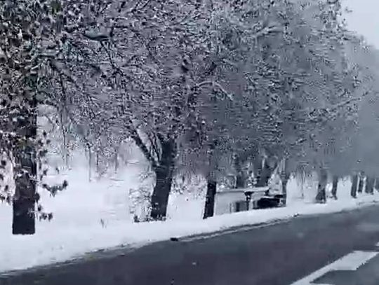 Młody ukraiński kierowca przewrócił dostawczy pojazd w rowie