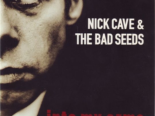 NICK CAVE "Into my arms"