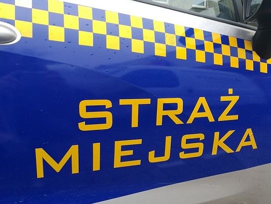 Nowe uprawnienia straży miejskiej - przepisy wchodzą w życie 30 sierpnia