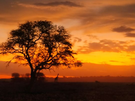 Od projektu do Podróży życia. Rozmowa z Anną Jurczak uczestniczką Africa Camp 2022