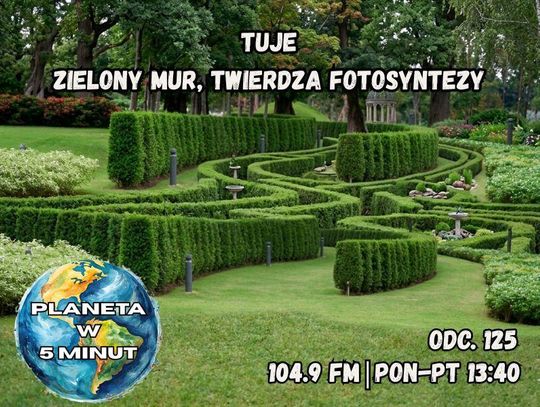 Planeta w 5 minut - odc. 125.