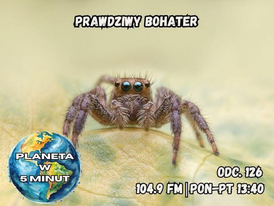 Planeta w 5 minut - odc. 126.