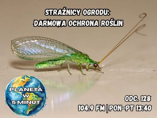 Planeta w 5 minut - odc. 128.