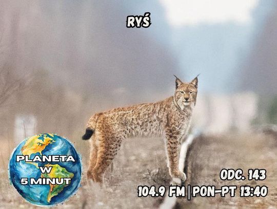 Planeta w 5 minut - odc. 143.