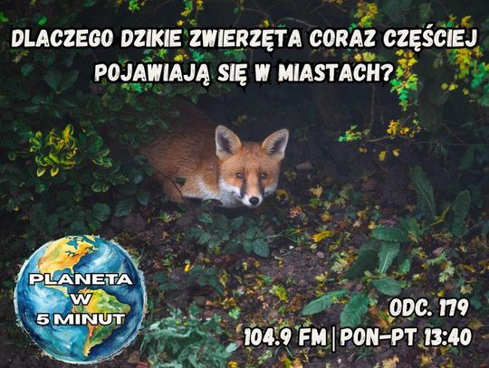 Planeta w 5 minut - odc. 179.