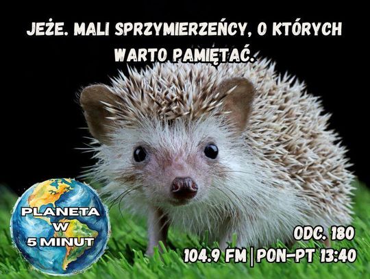 Planeta w 5 minut - odc. 180.