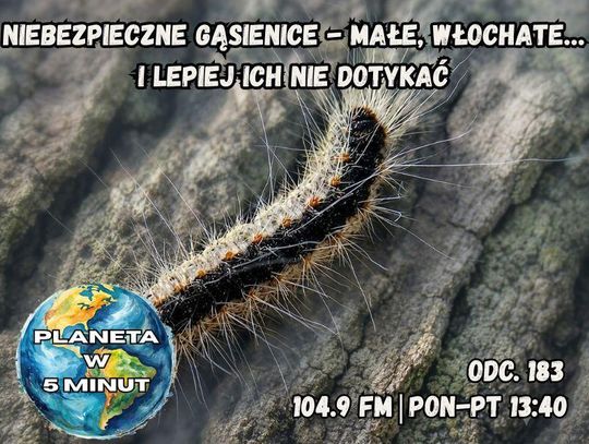 Planeta w 5 minut - odc. 183.