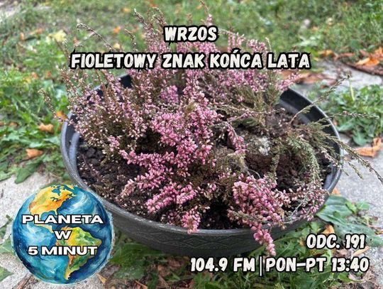 Planeta w 5 minut - odc. 191.