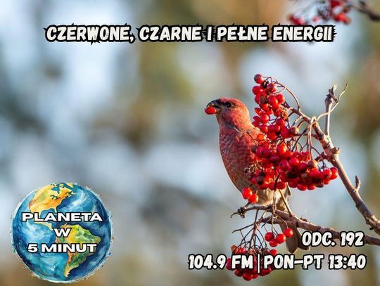 Planeta w 5 minut - odc. 193.