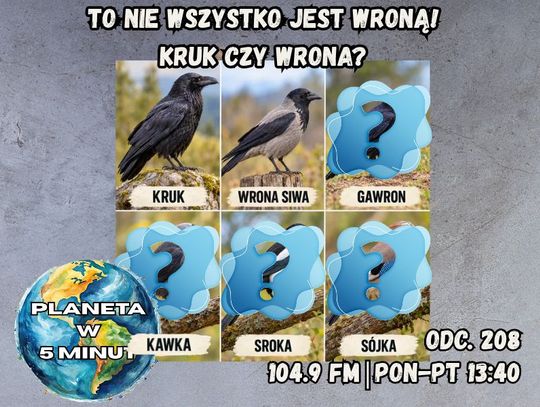 Planeta w 5 minut - odc. 208.