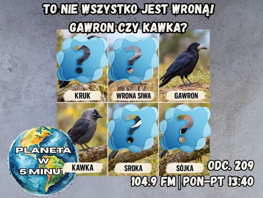 Planeta w 5 minut - odc. 209.