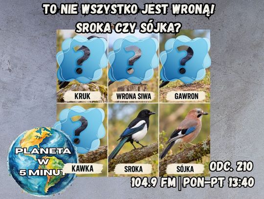 Planeta w 5 minut - odc. 210.