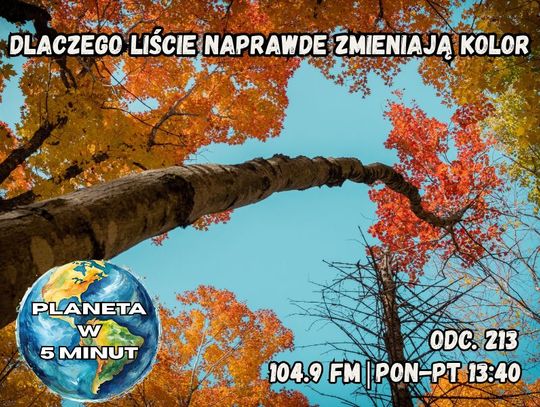 Planeta w 5 minut - odc. 213.