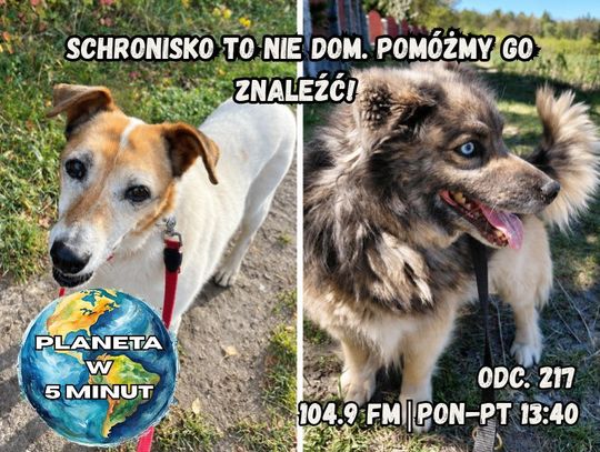 Planeta w 5 minut - odc. 217.