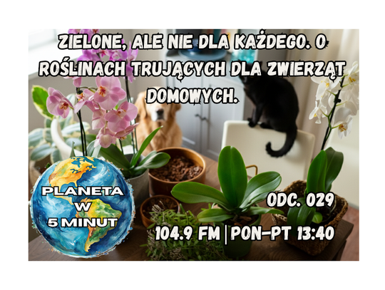 Planeta w 5 minut - odc. 29.