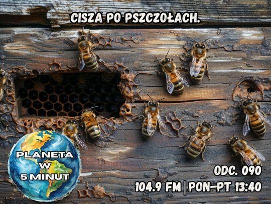 Planeta w 5 minut - odc. 90.