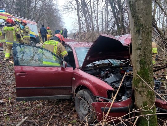 Samochód uderzył w drzewo. Kierowca przetransportowany do szpitala śmigłowcem LPR [ZDJĘCIA]