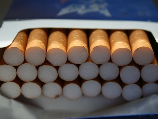 Seniorzy produkowali nielegalne papierosy