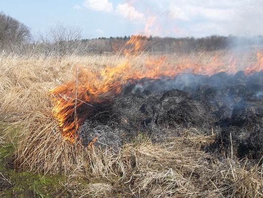 Strażacy walczą z pożarami traw