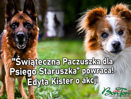 "Świąteczna Paczuszka dla Psiego Staruszka" powraca! Edyta Kister o akcji