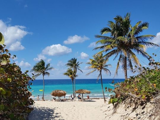 Tropikalny urlop – najpiękniejsze wyspy na egzotyczny wypoczynek