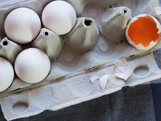 Uwaga na te jajka - wykryto w nich salmonellę