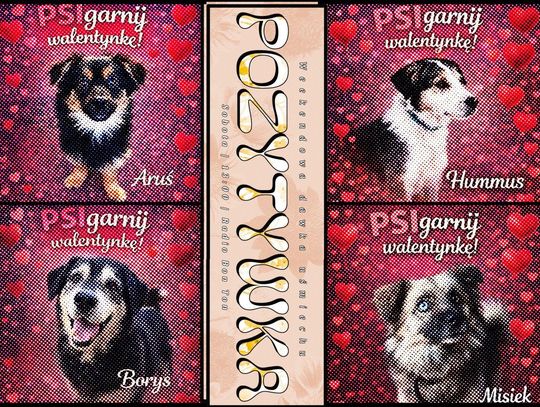 Walentynki! - 14.02.2026 - Pozytywka