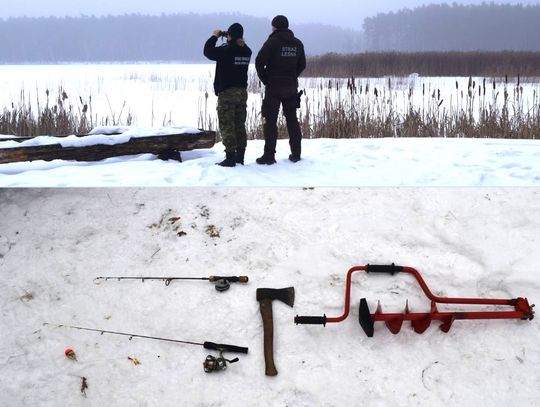 Wędkarz zatrzymany na gorącym uczynku za nielegalny połów w rezerwacie. Grozi mu nawet więzienie