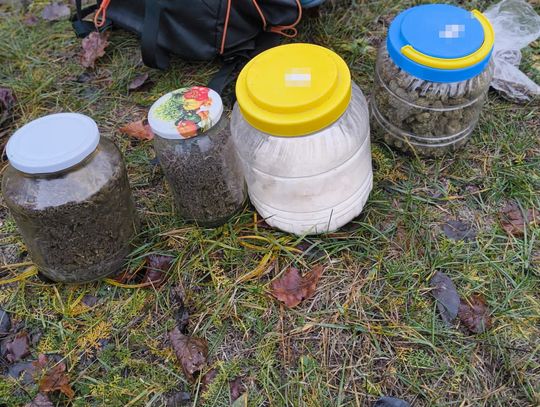 Włodawscy kryminalni podczas operacji zabezpieczyli prawie 1,5 kilograma narkotyków.