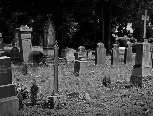 Wiadomości lokalne 17.10.2023 g. 11.30