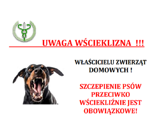 Wiadomości lokalne 17.10.2024 g. 13.30