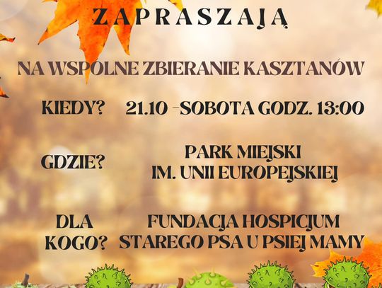 Wiadomości lokalne 20.10.2023 g. 13.30