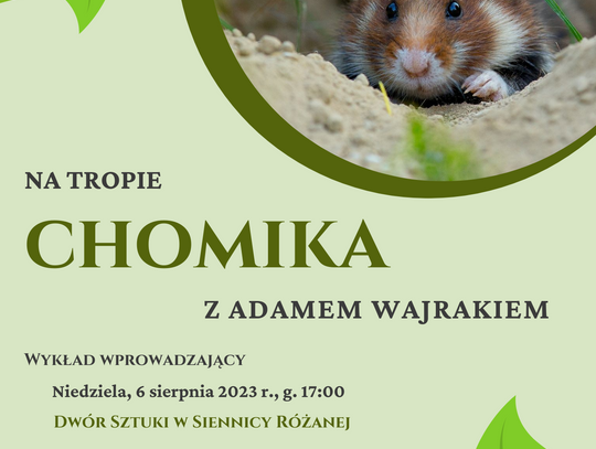 Wiadomości lokalne 3.08.2023 g. 13.30