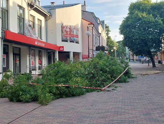 Wiadomości lokalne 30.08.2023 g. 9.30