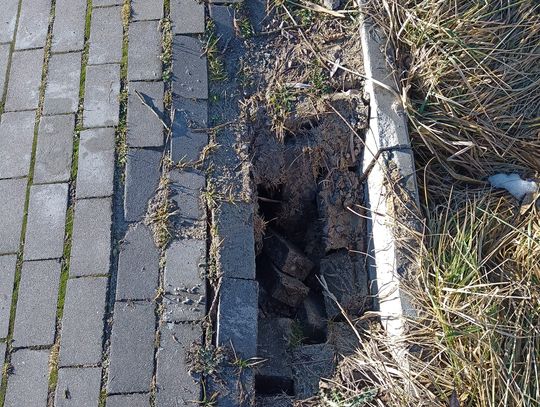 Wiadomości lokalne 31.01.2024 g. 9.30