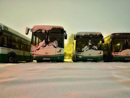 Pogoda sprawdziła możliwości chełmskiego taboru komunikacji publicznej