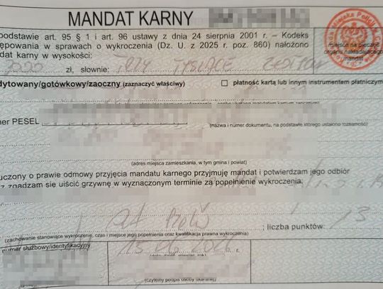 Wiadomości lokalne. Drogowy rekord niechlubnego dnia. Czterech kierowców bez uprawnień