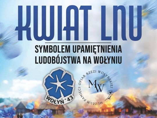 Kwiat lnu ma stać się symbolem pamięci o ofiarach ludobójstwa wołyńskiego.