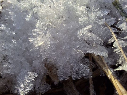Wiadomości lokalne. Mróz nie ustanie. Ostrzeżenia synoptyków w Chełmie i powiecie chełmskim aktualne