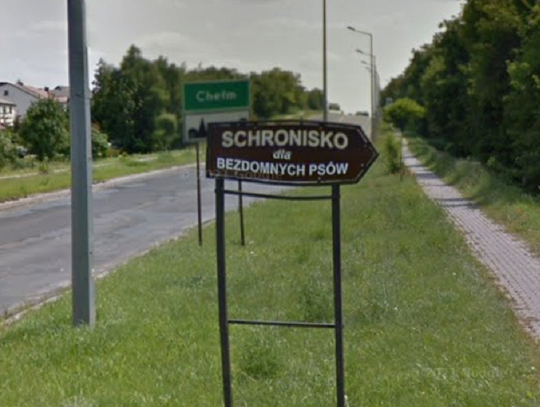 Wiadomości lokalne. Nowe schronisko dla zwierząt i grzebowisko w planach. Chełm rozpoczyna procedurę