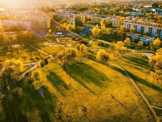Wiadomości lokalne. Plan na upały i ulewy. Chełm pyta mieszkańców o zdanie