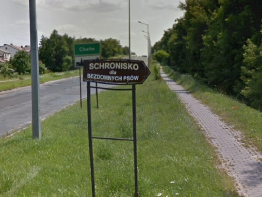 Wiadomości lokalne. Policja bada sytuację w schronisku przy Włodawskiej. Apel do świadków