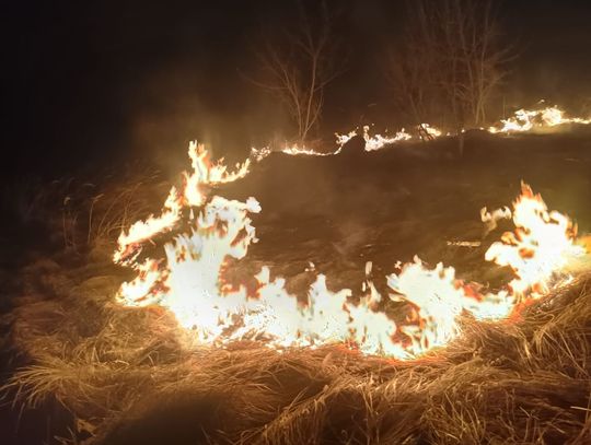 Wiadomości lokalne. Policjanci z Rejowca Fabrycznego powstrzymali pożar traw